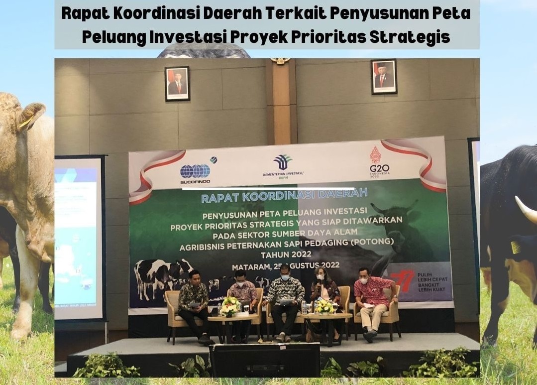 Rakorda Penyusunan Peta Peluang Investasi Proyek Prioritas Strategis
